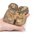 Renal Cell Carcinoma | EZ-MP2097 | Sim & Skills Ltd