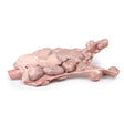 Aorta & para-aortic lymph nodes | EZ-MP2103 | Sim & Skills Ltd