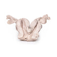 Uterus Bicornuate Unicollis | EZ-MP2104 | Sim & Skills Ltd