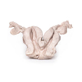 Uterus Bicornuate Unicollis | EZ-MP2104 | Sim & Skills Ltd