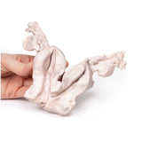 Uterus Bicornuate Unicollis | EZ-MP2104 | Sim & Skills Ltd