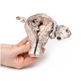 Endometrial Carcinoma | EZ-MP2106 | Sim & Skills Ltd