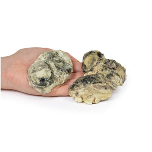 VIEW ALL - 3D Anatomy Range