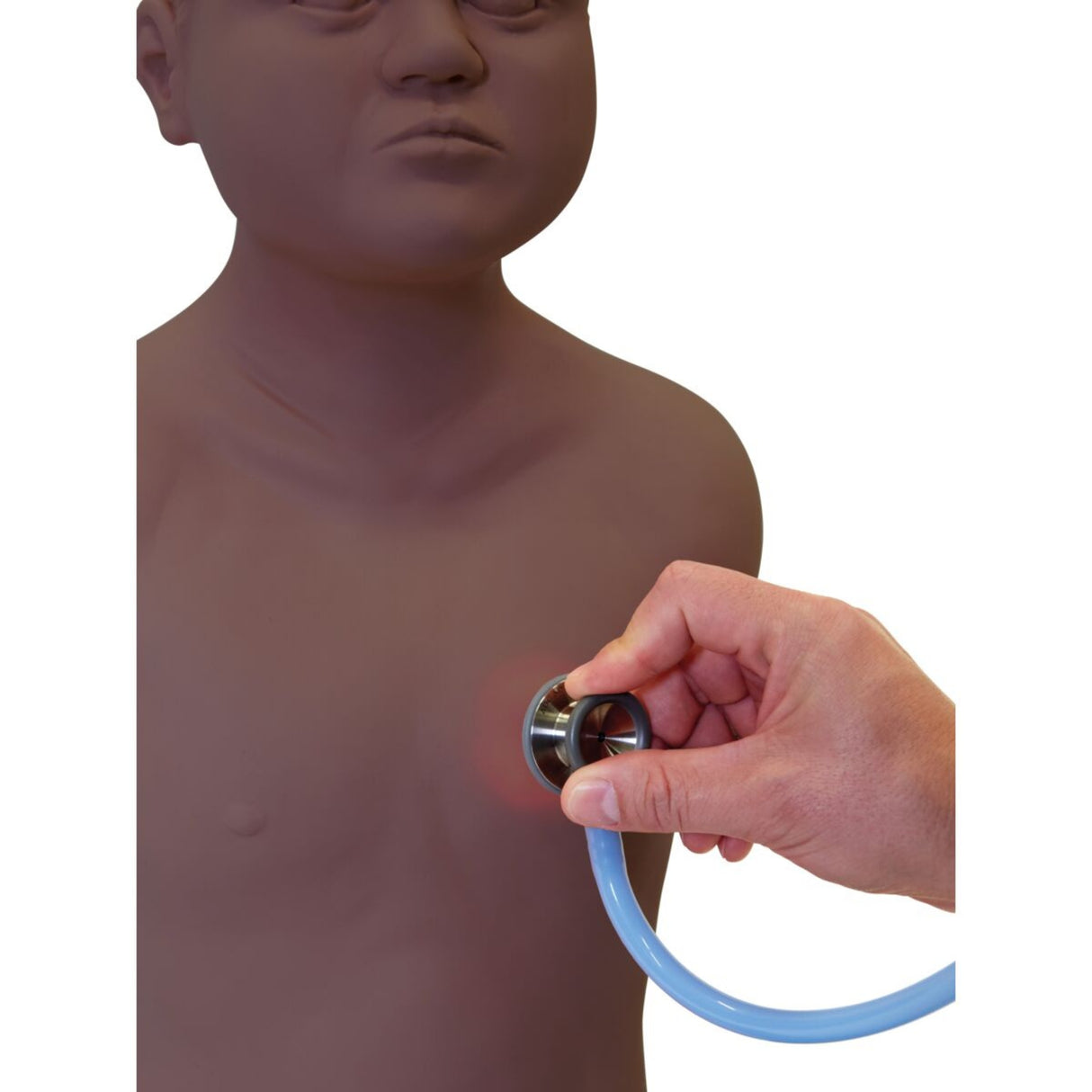 PAT4 Paediatric Auscultation Manikin