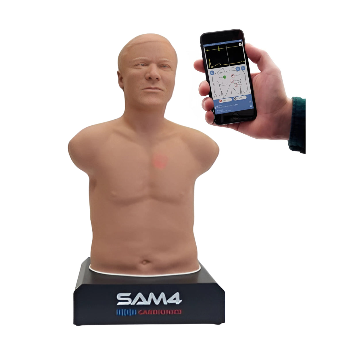 SAM4 Auscultation Manikin