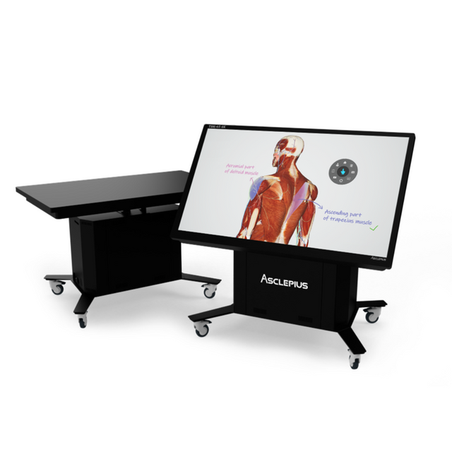 Virtual Dissection Anatomy Table 65-inch