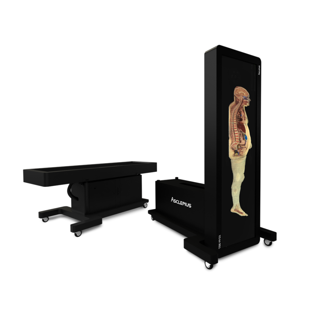 Virtual Dissection Anatomy Table Lifesize 99-inch – Sim & Skills