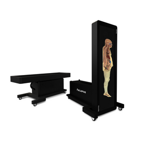 Virtual Dissection Anatomy Table Lifesize 84-inch