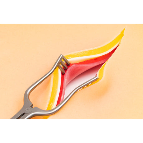 Abdominal Opening & Closure Trainer SS1414 | Sim & Skills
