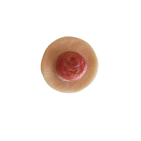 Adult Stoma Adhesive Wound P-SC-001-B | Sim & Skills