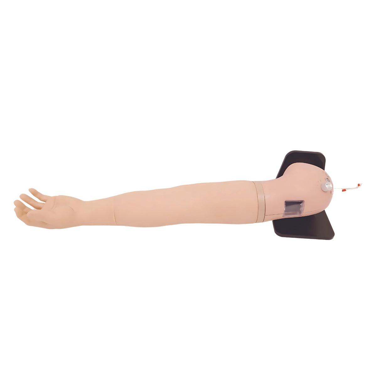 Advanced Arterial Puncture Arm TYE1020.1 | Sim & Skills