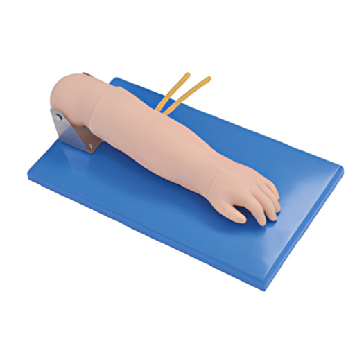 Advanced Paediatric Venepuncture Hand Model TYE4717 | Sim & Skills