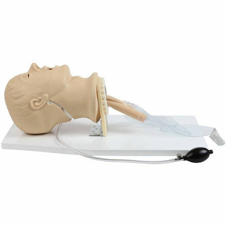 Airway Management Simulator with Board TYE1586 | Sim & Skills