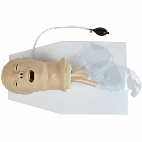 Airway Management Simulator with Board TYE1586 | Sim & Skills