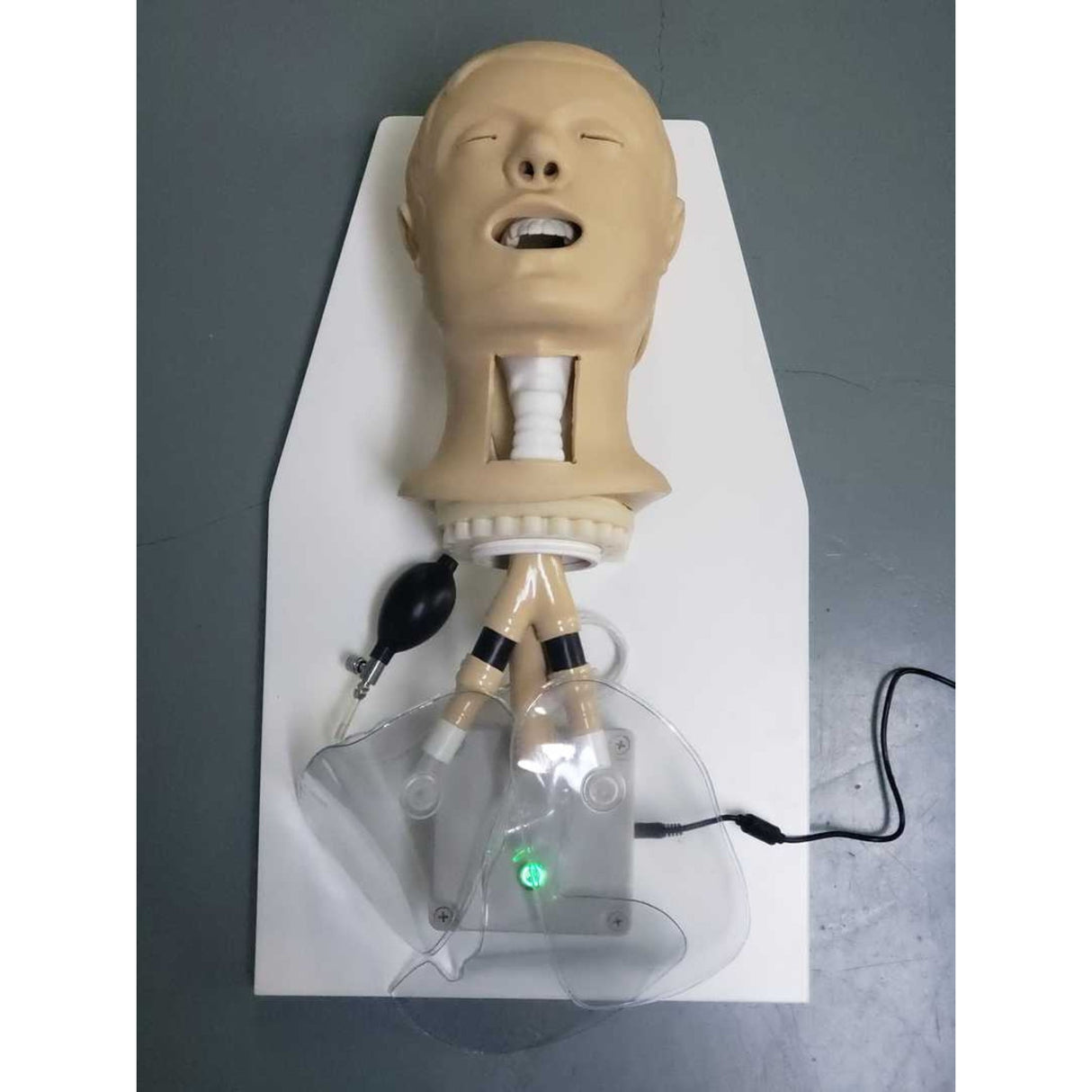 Airway Management Simulator with Board TYE1586 | Sim & Skills