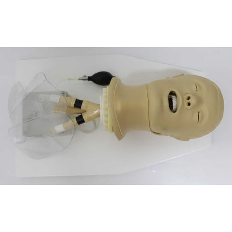 Airway Management Simulator with Board TYE1586 | Sim & Skills