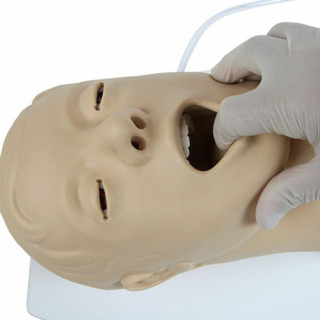 Airway Management Simulator with Board TYE1586 | Sim & Skills