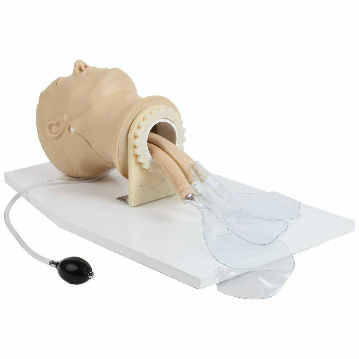 Airway Management Simulator with Board TYE1586 | Sim & Skills