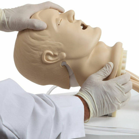 Airway Management Simulator with Board TYE1586 | Sim & Skills