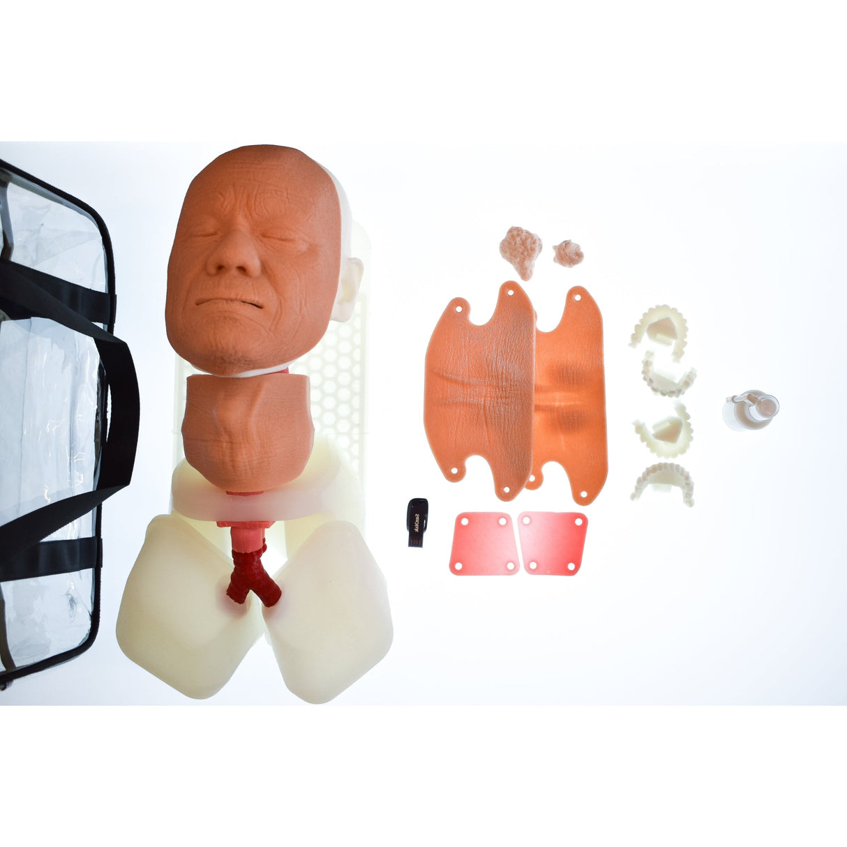 Airway Management Trainer C0002B | Sim & Skills