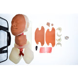 Airway Management Trainer C0002C | Sim & Skills