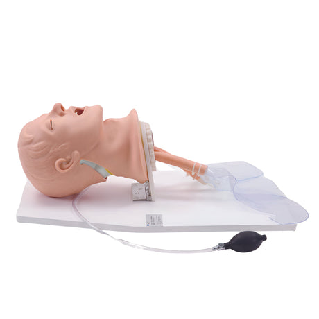 Airway Management Trainer with Board TYE1514 | Sim & Skills