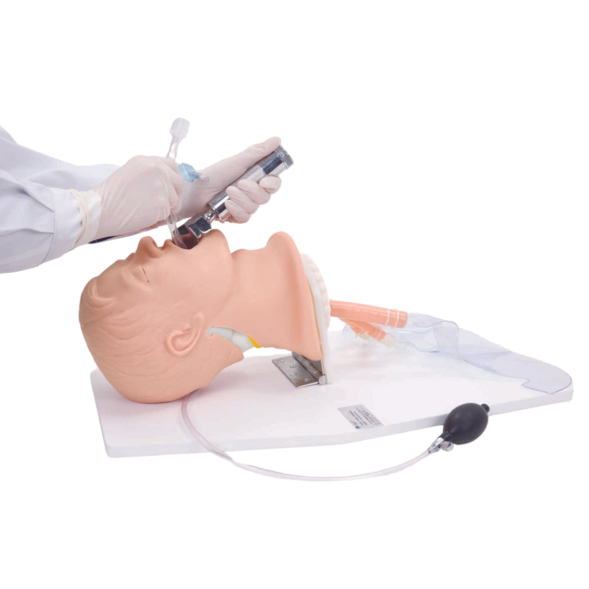 Airway Management Trainer with Board TYE1514 | Sim & Skills