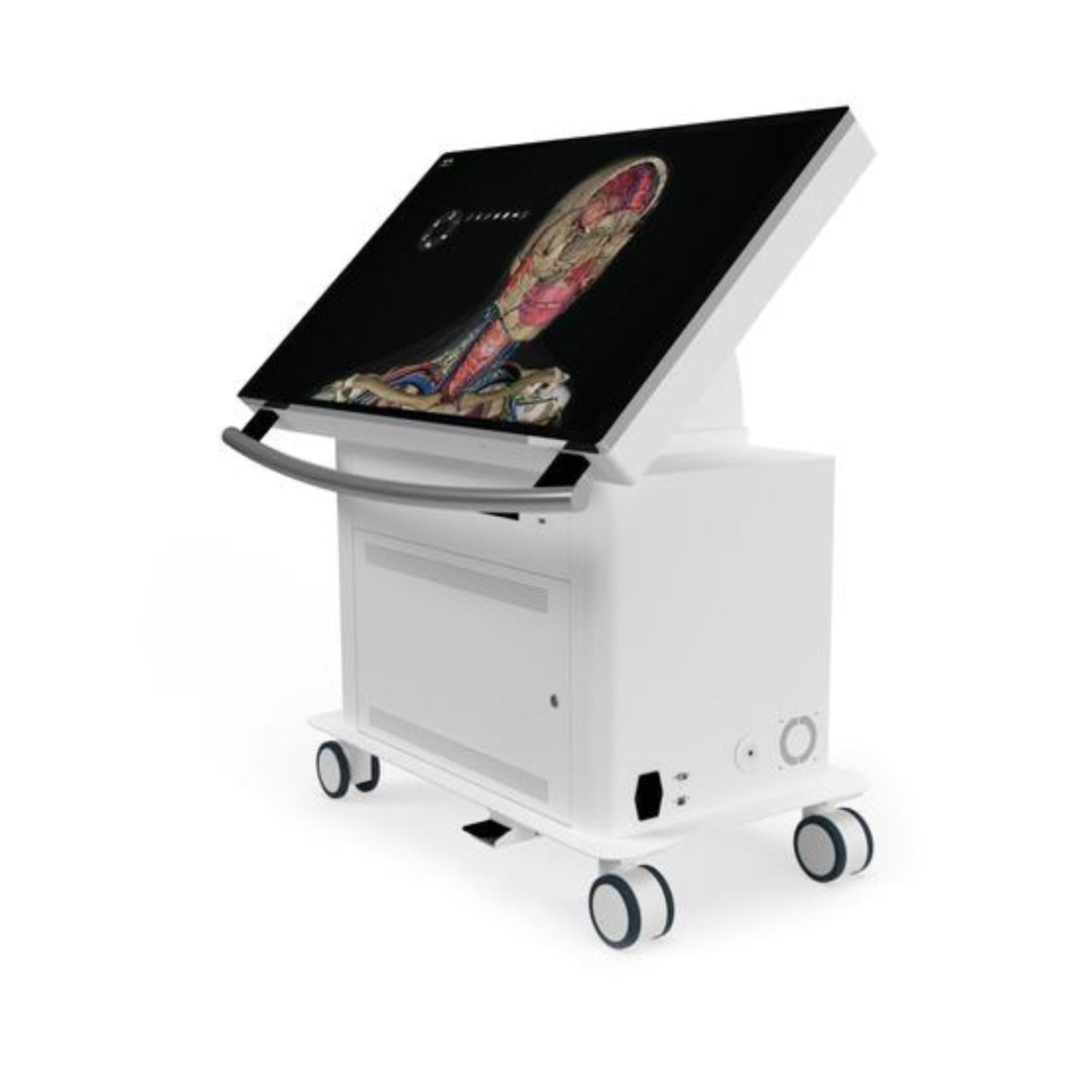 Virtual Dissection Anatomy Table 43-inch — Sim & Skills