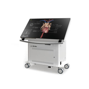 Virtual Dissection Anatomy Table 43-inch