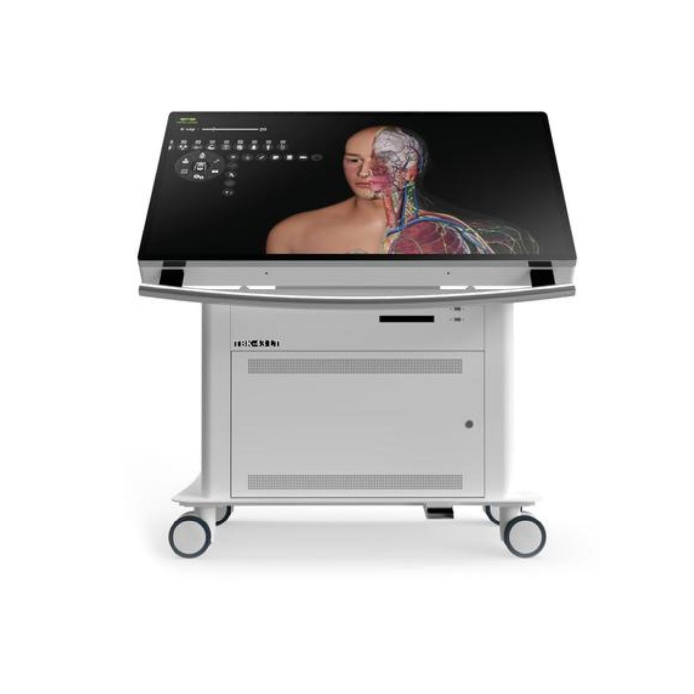 Simulation Dissections Virtual Dissection Anatomy Table 43-inch — Sim & Skills