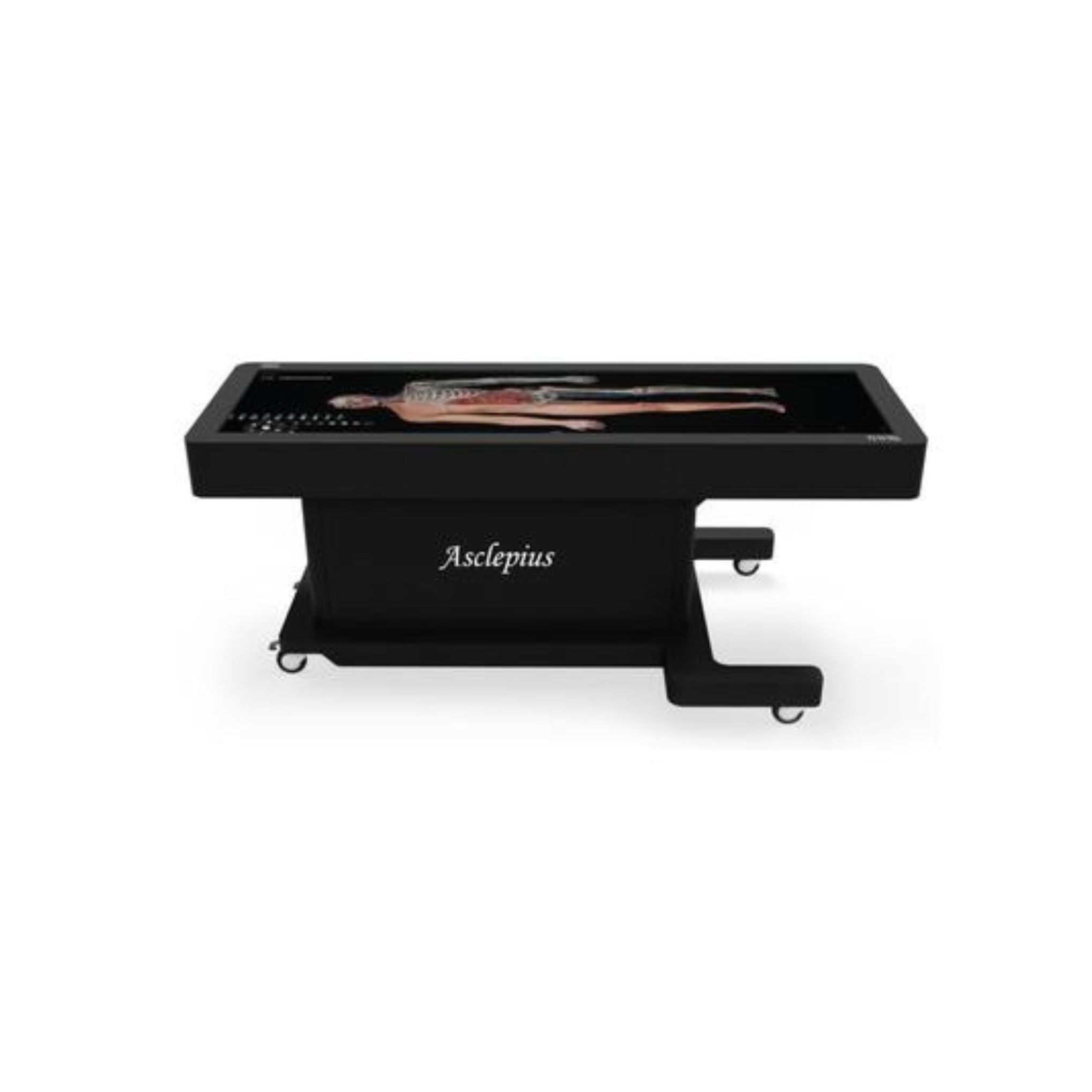 Virtual Dissection Anatomy Table Lifesize 84-inch — Sim & Skills