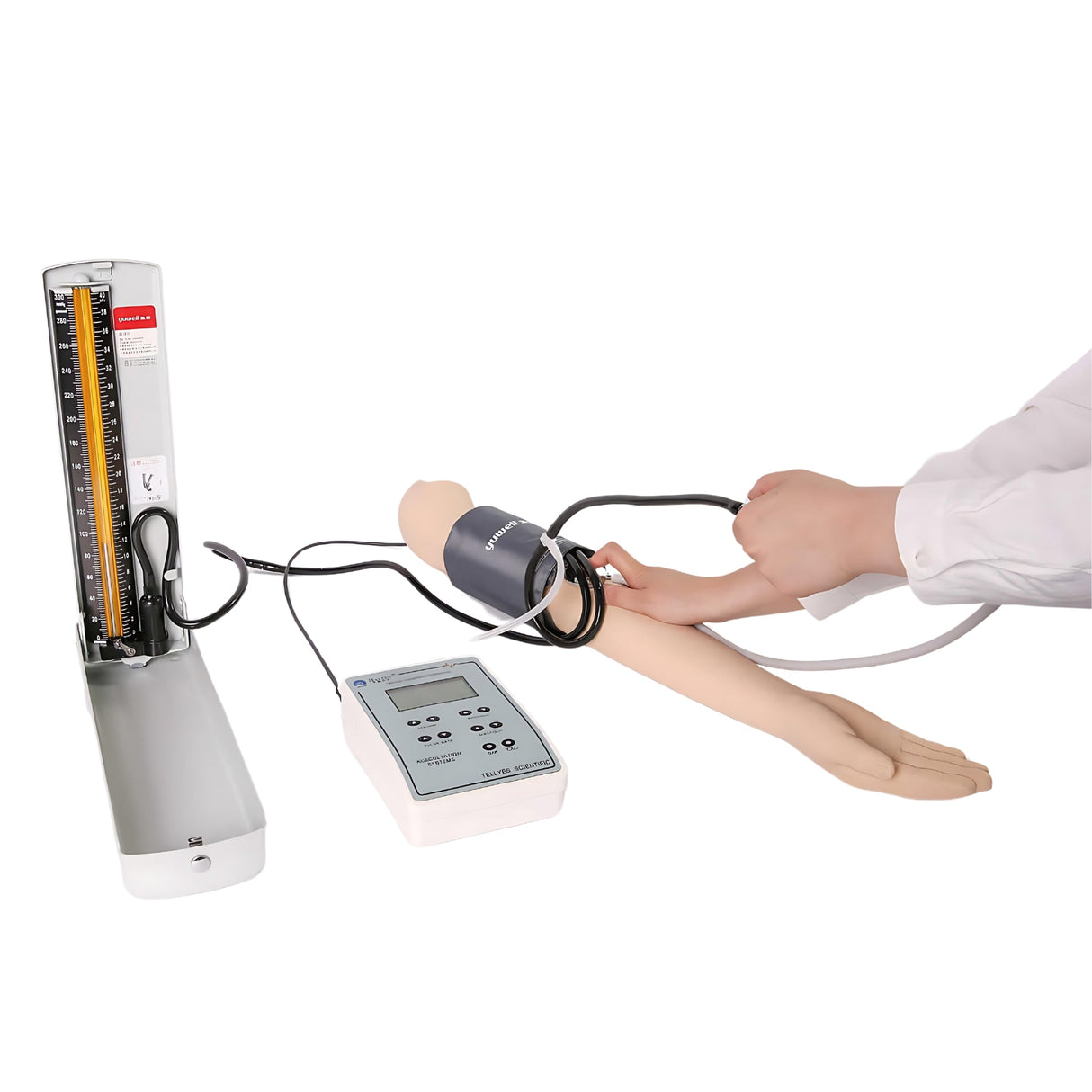 Blood Pressure Trainer Arm TYE1023.1 | Sim & Skills