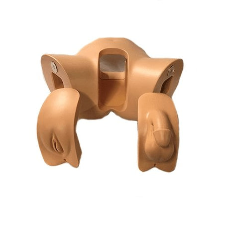Catheterisation Simulator Genitalia Module Male/Female BT-CSCM-M | Sim & Skills