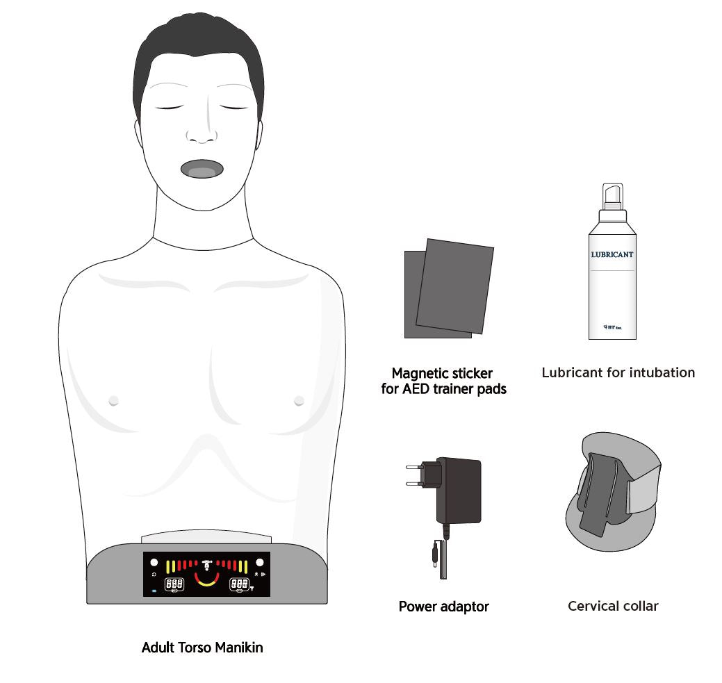 CPR & Airway Management Training Model BT-SEEM-Air | Sim & Skills