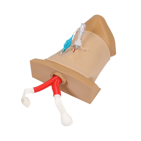 Crico Chris - Cricothyrotomy Task Trainer EZ-7660 | Sim & Skills