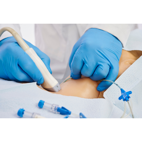 Gen II Regional Anaesthesia and Central Line Ultrasound Training Model BPHNB670-HP | Sim & Skills Ltd