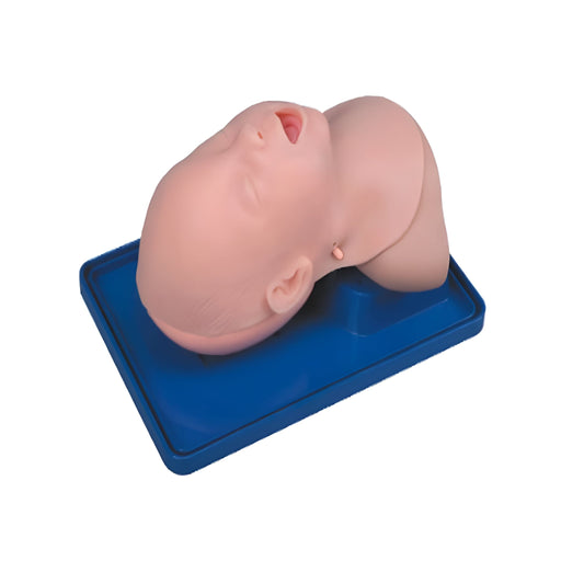 Infant Trachea Intubation Model TYE4605 | Sim & Skills