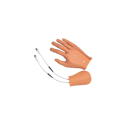 IV Cannulation Hand (Compact) SS1409 | Sim & Skills