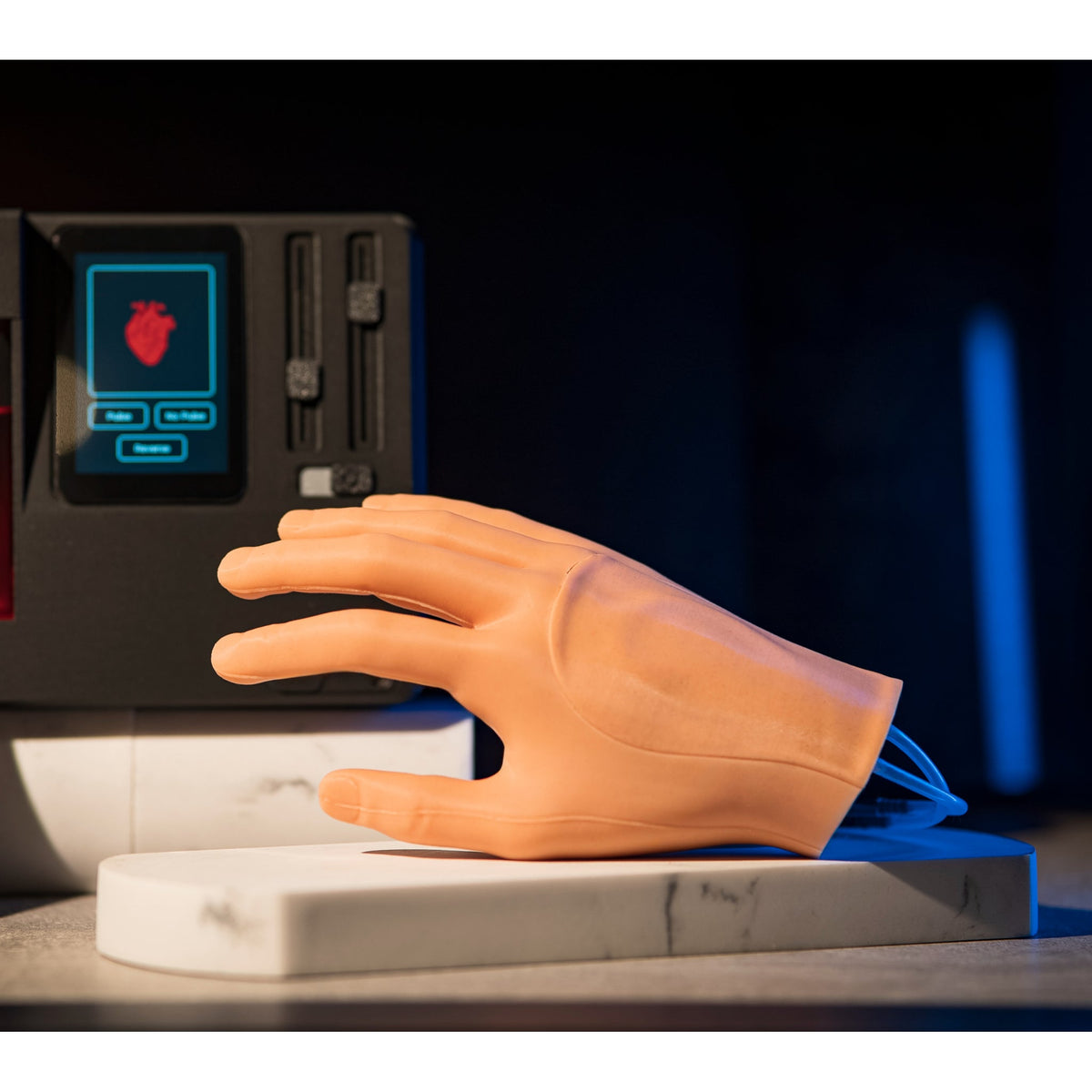 IV Cannulation Hand (Compact) SS1409 | Sim & Skills