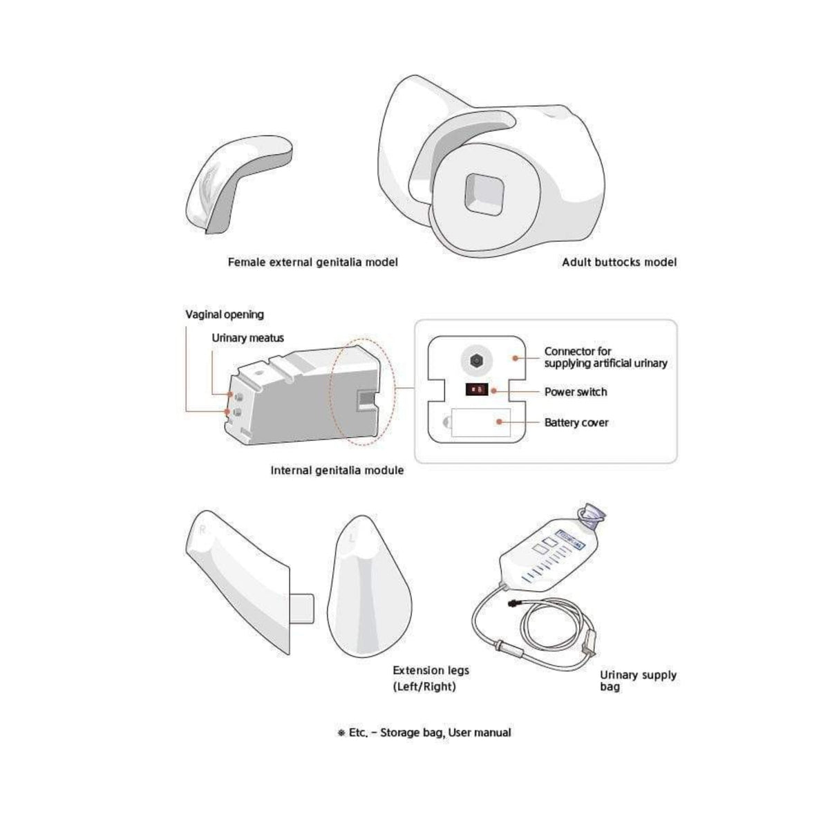 Male Catheterisation Simulator BT-CSCM | Sim & Skills