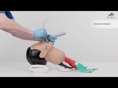 Airway Management Trainer P73