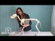 Canine Skeleton Model