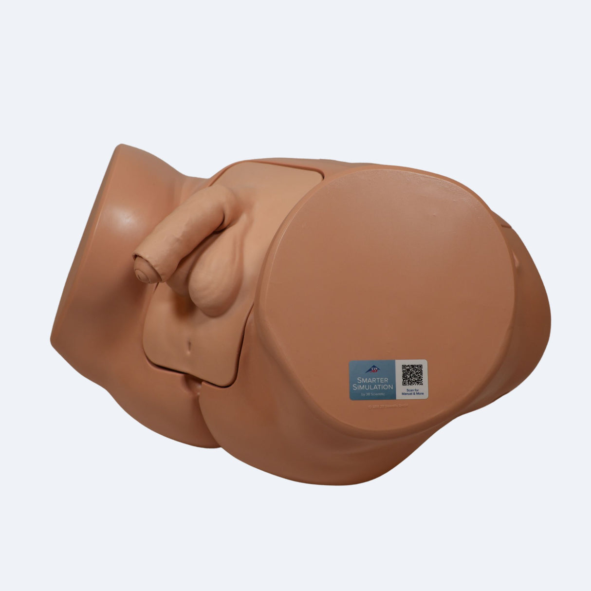 Pro Catheterisation Simulator - Transurethral & Suprapubic 1023010 | Sim & Skills Ltd