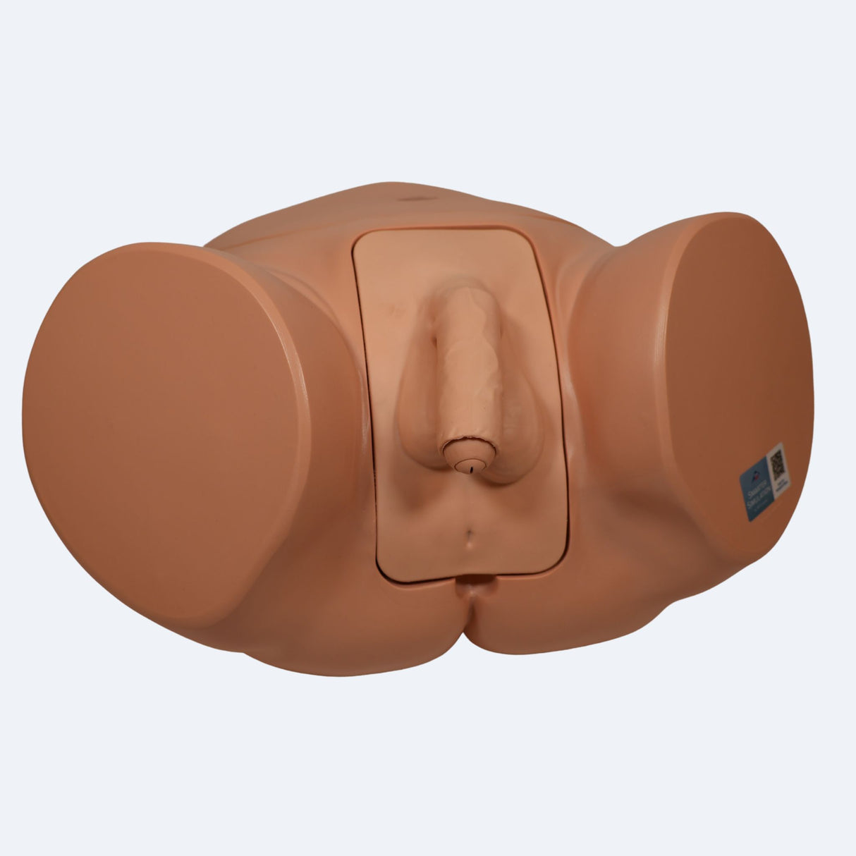 Pro Catheterisation Simulator - Transurethral & Suprapubic 1023010 | Sim & Skills Ltd