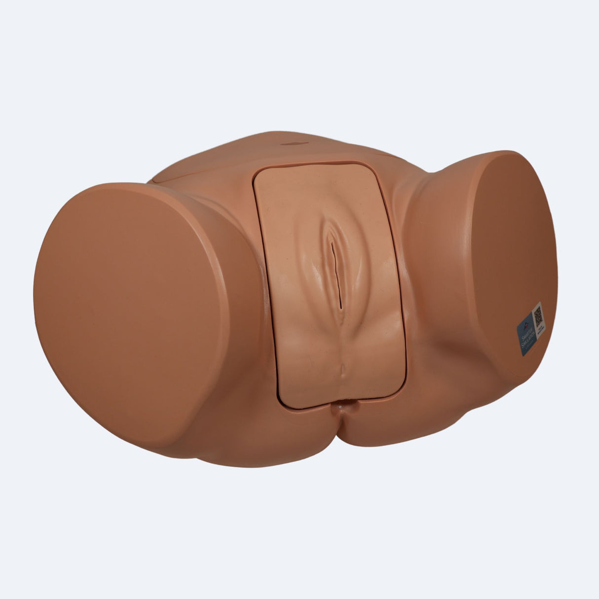 Pro Catheterisation Simulator - Transurethral & Suprapubic 1023010 | Sim & Skills Ltd