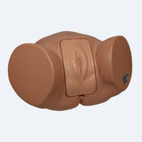 Pro Catheterisation Simulator - Transurethral & Suprapubic 1023010 | Sim & Skills Ltd