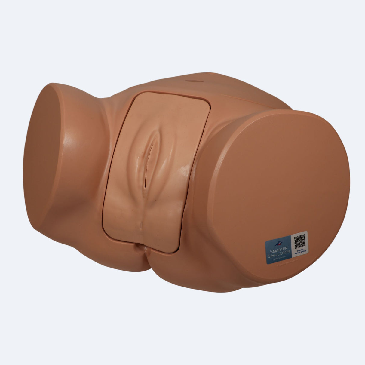 Pro Catheterisation Simulator - Transurethral & Suprapubic 1023010 | Sim & Skills Ltd