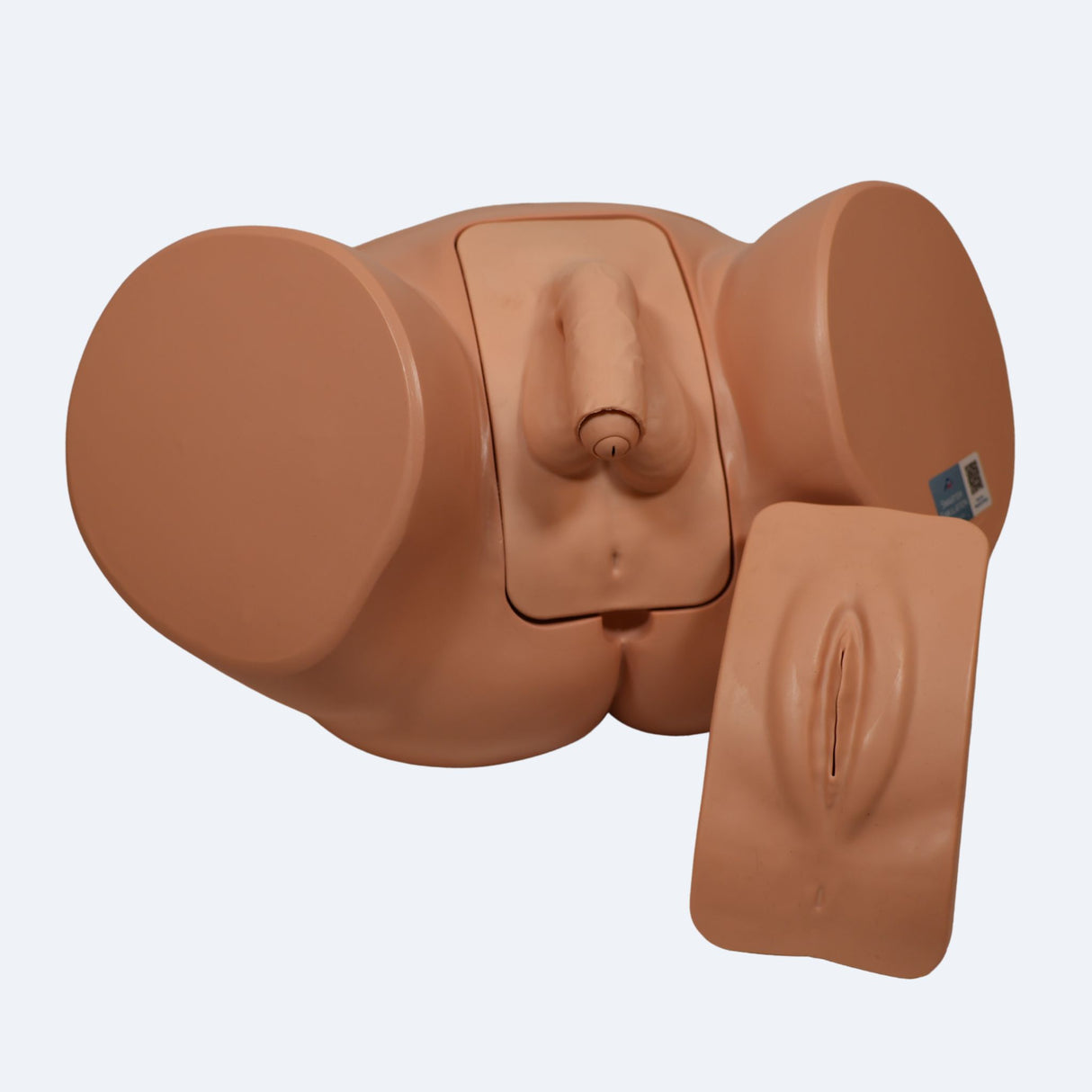 Pro Catheterisation Simulator - Transurethral & Suprapubic 1023010 | Sim & Skills Ltd