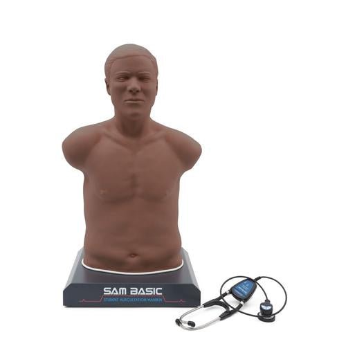 SAM Basic - Affordable Auscultation Manikin 1022474 | Sim & Skills