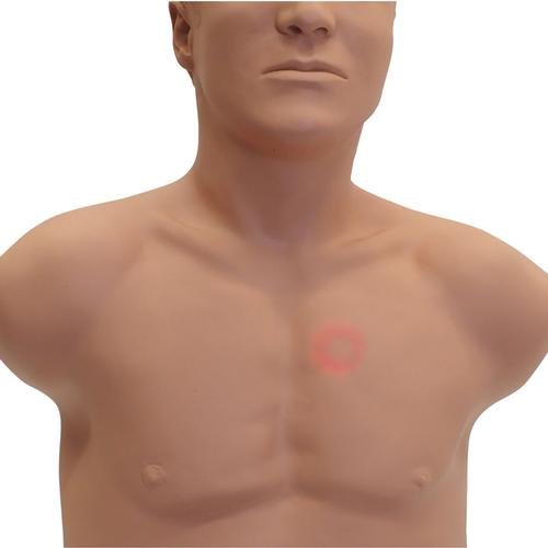 SAM4 Auscultation Manikin 1024553 | Sim & Skills